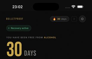 Bulletproof Recovery screenshot 1