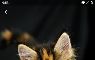 Bumpy Walls - HD wallpaper screenshot 1