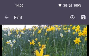 Bunny Media Editor screenshot 1