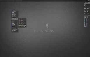 BunsenLabs screenshot 1