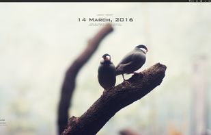 BunsenLabs screenshot 2