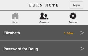 Burn Note screenshot 1