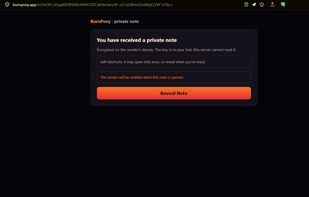 BurnPony screenshot 3