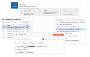 Burp Suite screenshot 1