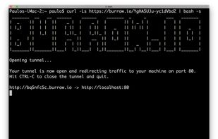 Burrow.io screenshot 1