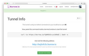 2. The next screen will confirm the tunnel is set up, and ready to go. Note the URL generated automatically for you. You will use this URL to access your localhost through the tunnel.