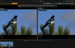 BurstPick screenshot 1