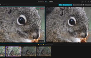 BurstPick screenshot 3