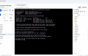 A full terminal with your files beside it
