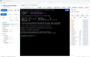 A full terminal with your files beside it
