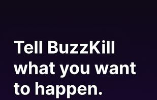 Buzzkill screenshot 1