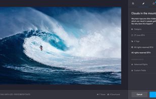 Asset detail views inside of Bynder's DAM module, enriched with all the data you need to know about your assets. 