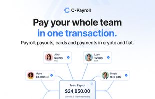C-Payroll screenshot 3