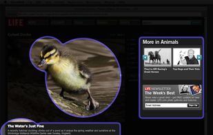 OmniDazzle screenshot 1