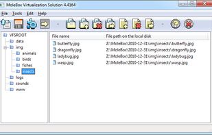 MoleBox Virtualization Solution screenshot 1