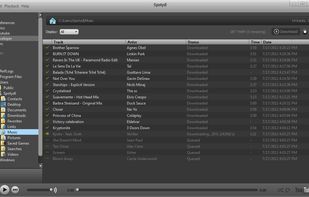 Spotydl screenshot 1