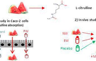 ACS Publications screenshot 1