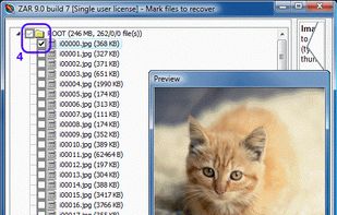 ZAR Digital image recovery screenshot 3
