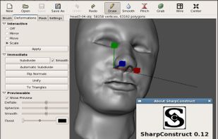 an example of a simple human head being sculpted.