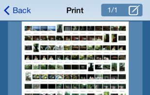 PrimePrint screenshot 2