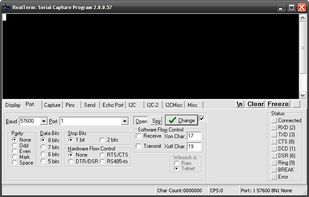 RealTerm screenshot 1