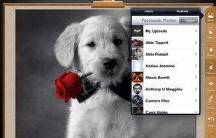 Photo Delight screenshot 1