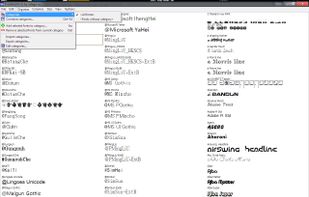The large preview window.