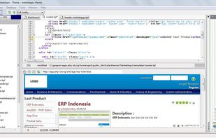 Main window with live preview