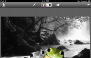 Color Touch screenshot 3