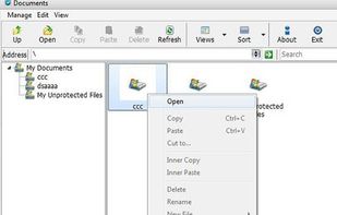 Kakasoft USB Copy Protection screenshot 1