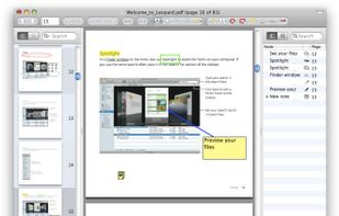 The PDF Window