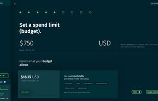 Creating a campaign - set your own budget. There are no minimums, but CAASie will show you what your budget will buy.