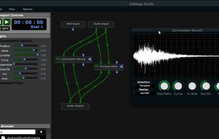 Cabbage Studio screenshot 1