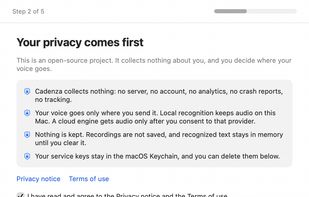 Privacy settings and per-provider consent for optional cloud services. Local recognition does not upload audio; remote text processing requires separate permission.