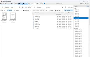 Dual view with filtering panel