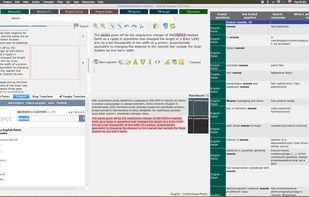 Main screen with translation in progress. Embedded web frames (bottom left, right) display online reference sources.