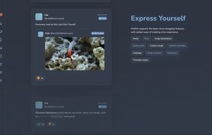 Firefish screenshot 2