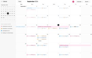 Calendar View