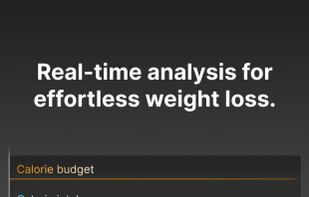 Calopal screenshot 2