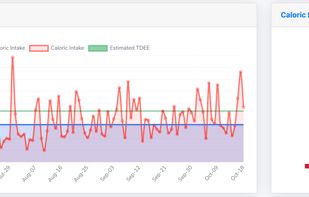 CalorieTracker.io screenshot 3
