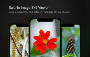 Camera-M screenshot 1