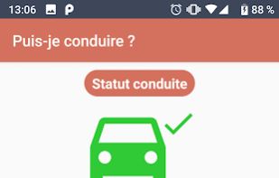 Can I Drive screenshot 1