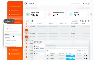 Canopy RMM screenshot 1
