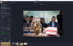 Single image mode