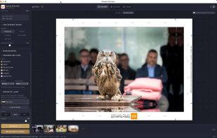 print preview in single image mode