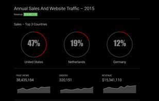 Sales & Website Traffic Dashboard Sample
