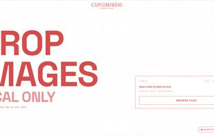 Screenshot of the landing page