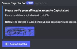 Captcha.bot screenshot 2