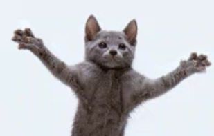 Captionpop screenshot 2