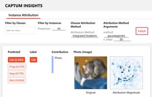 Captum screenshot 1